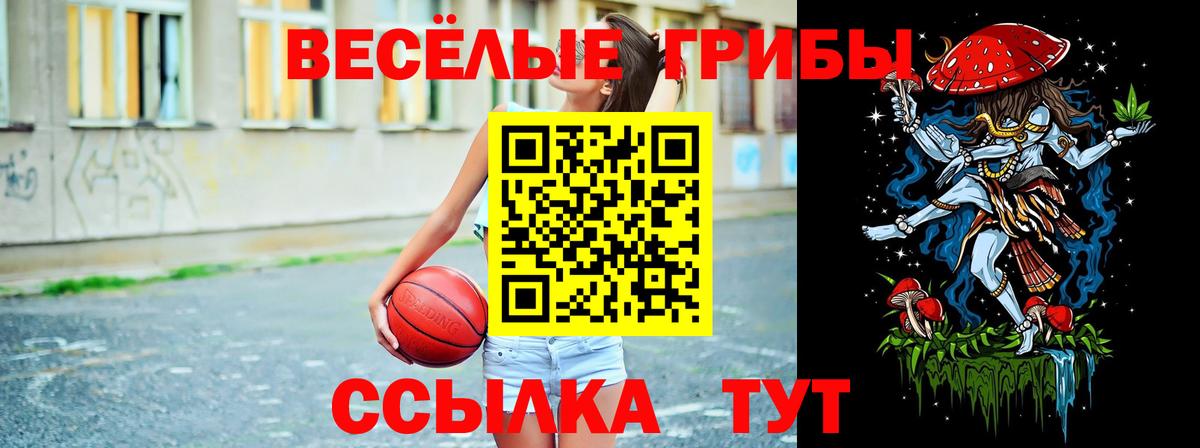 Галлюциногенные грибы прущие грибы Павловский Посад