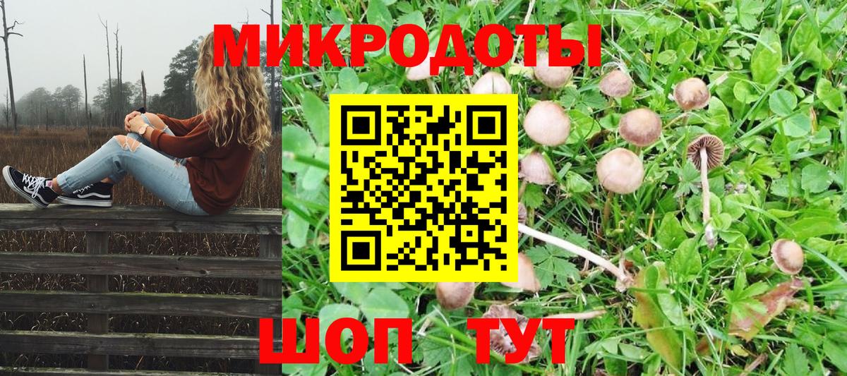 Псилоцибиновые грибы Cubensis  Вход с VPN  Павловский Посад 