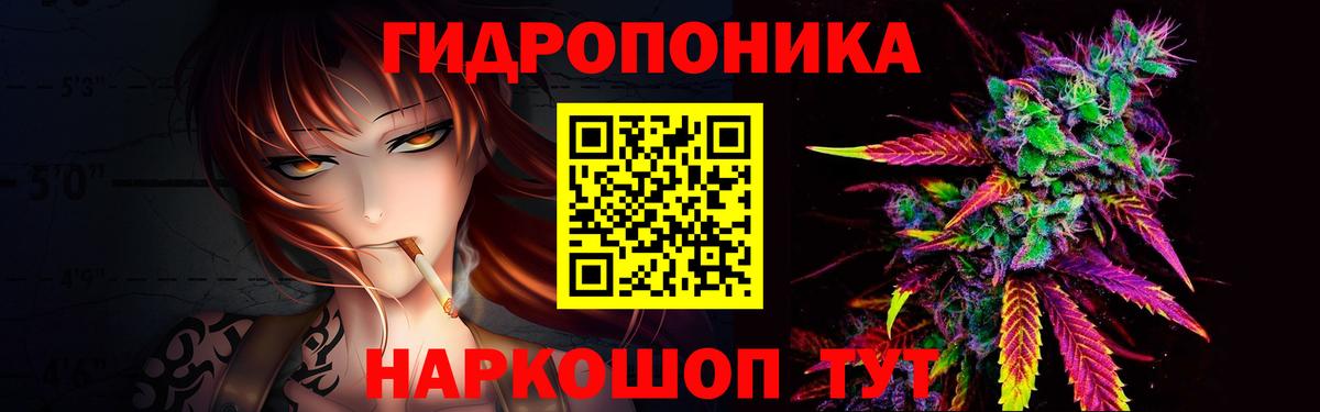 Бошки Шишки конопля  Вход с VPN  Конопля OG Kush  Павловский Посад 